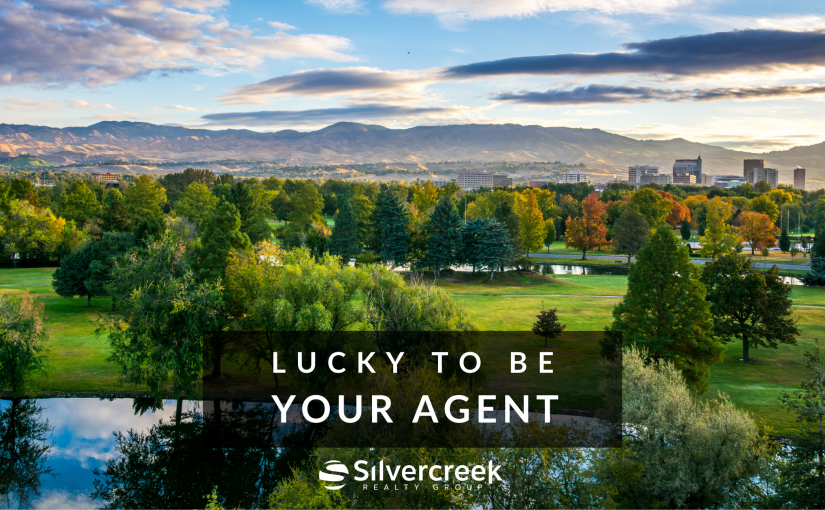 Silvercreek Insight