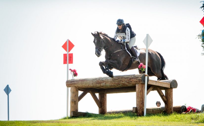 Wasatch Sport Horses