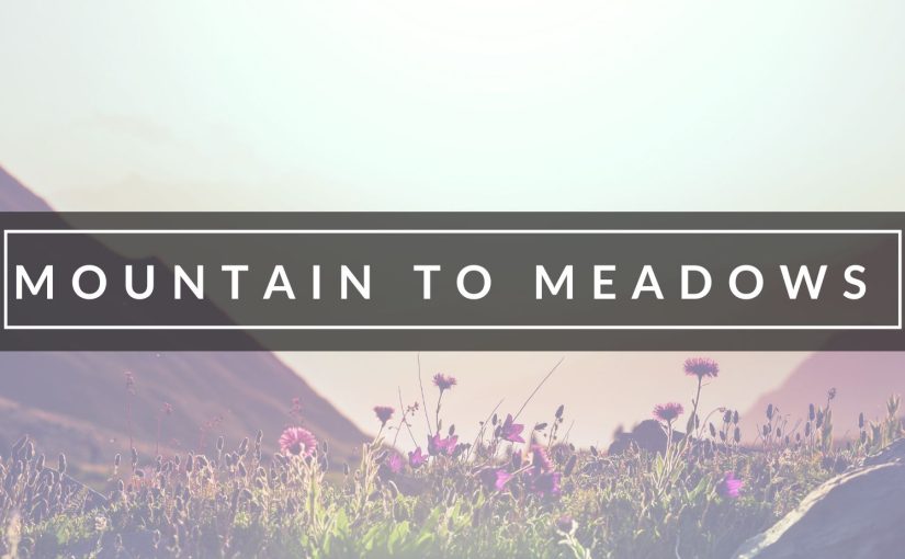Mountains to Meadows: Celebrating