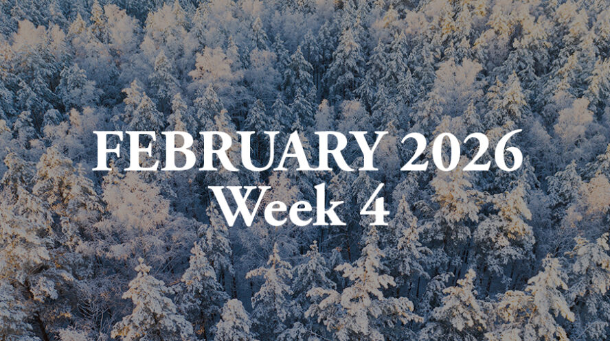 Newsletter Cover febwk4