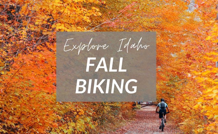Idaho’s Best Fall Mountain Biking Trails for Stunning Fall Colors