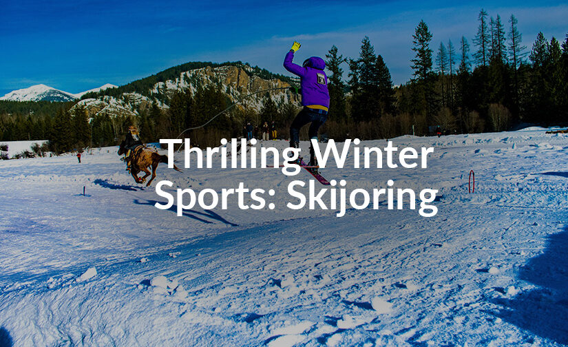 Skijoring: One of Winter’s Most Thrilling (and Least Known) Sports